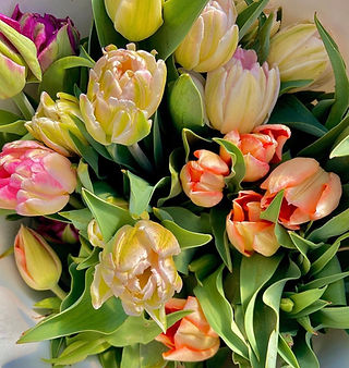 Vintage Family Farms | Flower Farm | 4541 Preston Rd, Hurlock, MD, USA