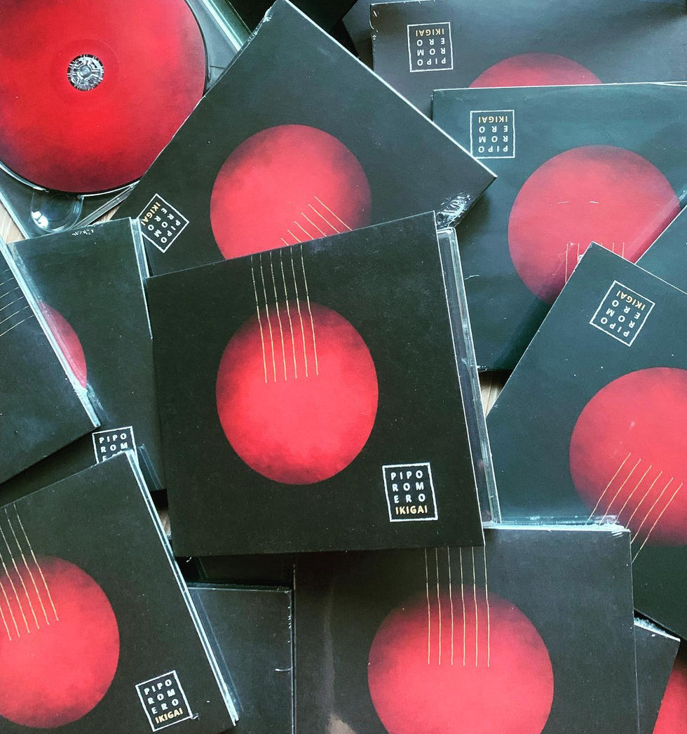 Pipo Romero ,Nocturna Producciones, Nocturna Madrid, Somosnocturna ,disco, album, producción audiovisual, sesión fotos, artista, musica Anyta madrazo diseño