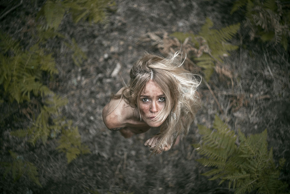Anyta Madrazo: a ojo de pájaro