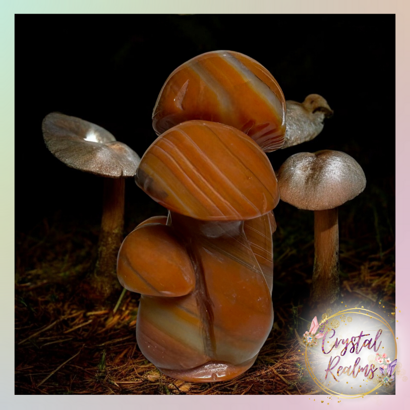 Miniature : Sunkissed Carnelian Mushroom Crystal Carving