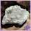 Thumbnail: White Rose Calcite with Golden Pyrite Cluster