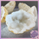 縮圖：Mini Agate Druzy Quartz Geodes