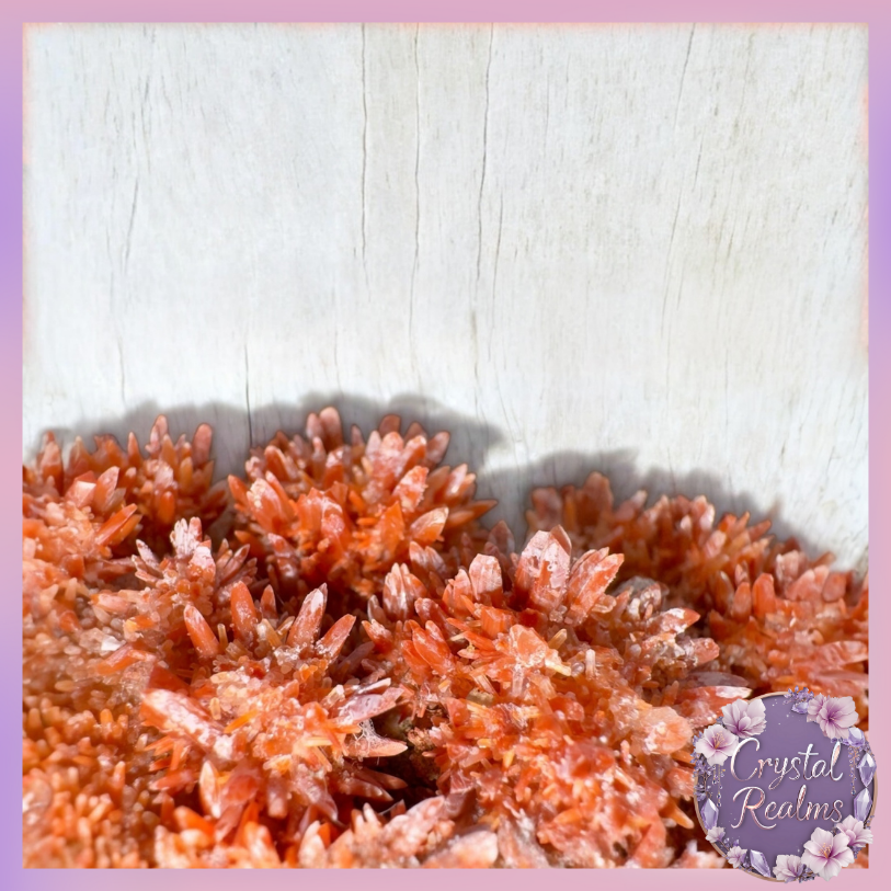 Miniaturbild: Radiant Orange Calcite Cluster