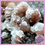 Thumbnail: Pink Manganoan Calcite on Chalcopyrite