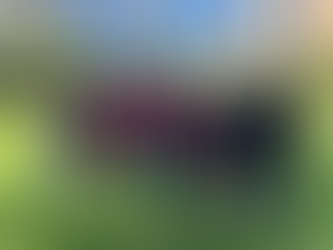 Fall Race Rundown: October 7/8