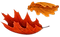autumnleaves.png