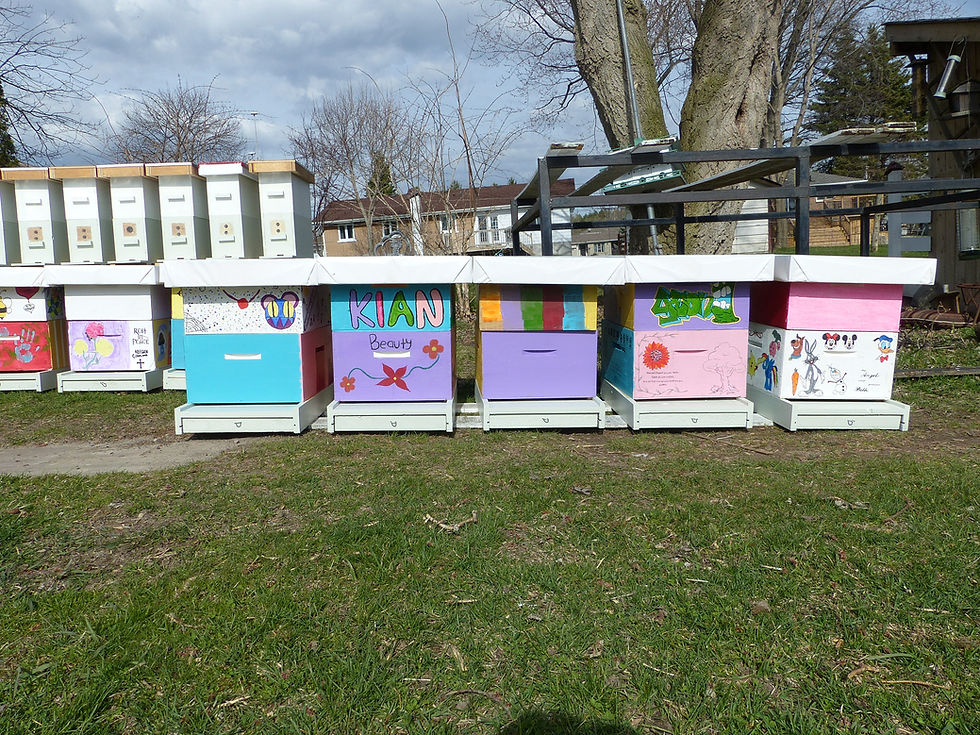 P1030173.JPG