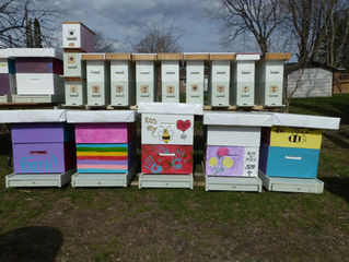 Beehive Boxes Tribute for Young Man