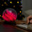 Thumbnail: Gingko Design AstraGlass Light