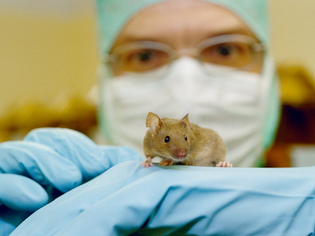 Crisis plans help animal facilities respond to the coronavirus pandemic