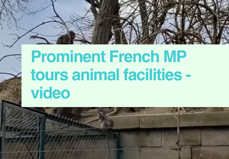 French MP visits research centre
