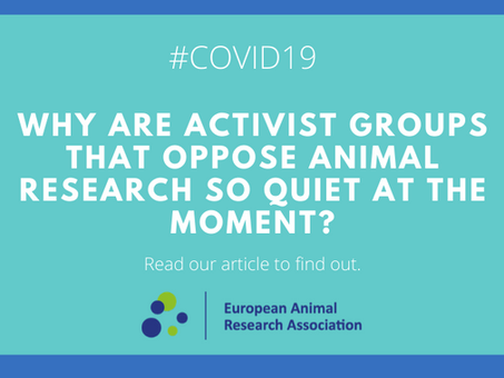 Coronavirus: Activist groups keep silent on animal research