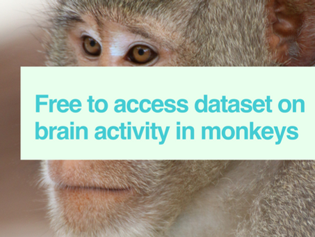 Monkeys dataset