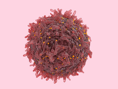 Cancer organoid provides new detail into how cells communicate