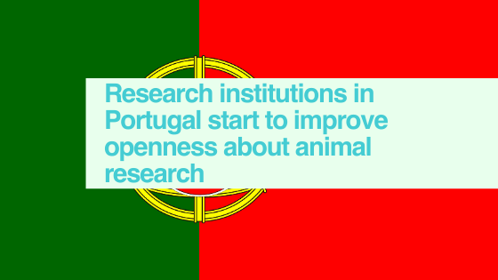 Portugal - EARA Study of EU-based websites 2020