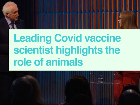 Covid-19 vaccine & animal research