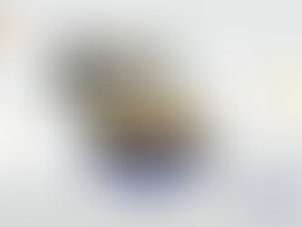 TMA Revitalizes Maya Plus with a Wellness Website for Canadian Customers