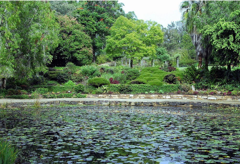 noosa_botanic_gardens_05.jpg