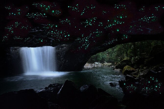 glow_worm_caves_01.jpg
