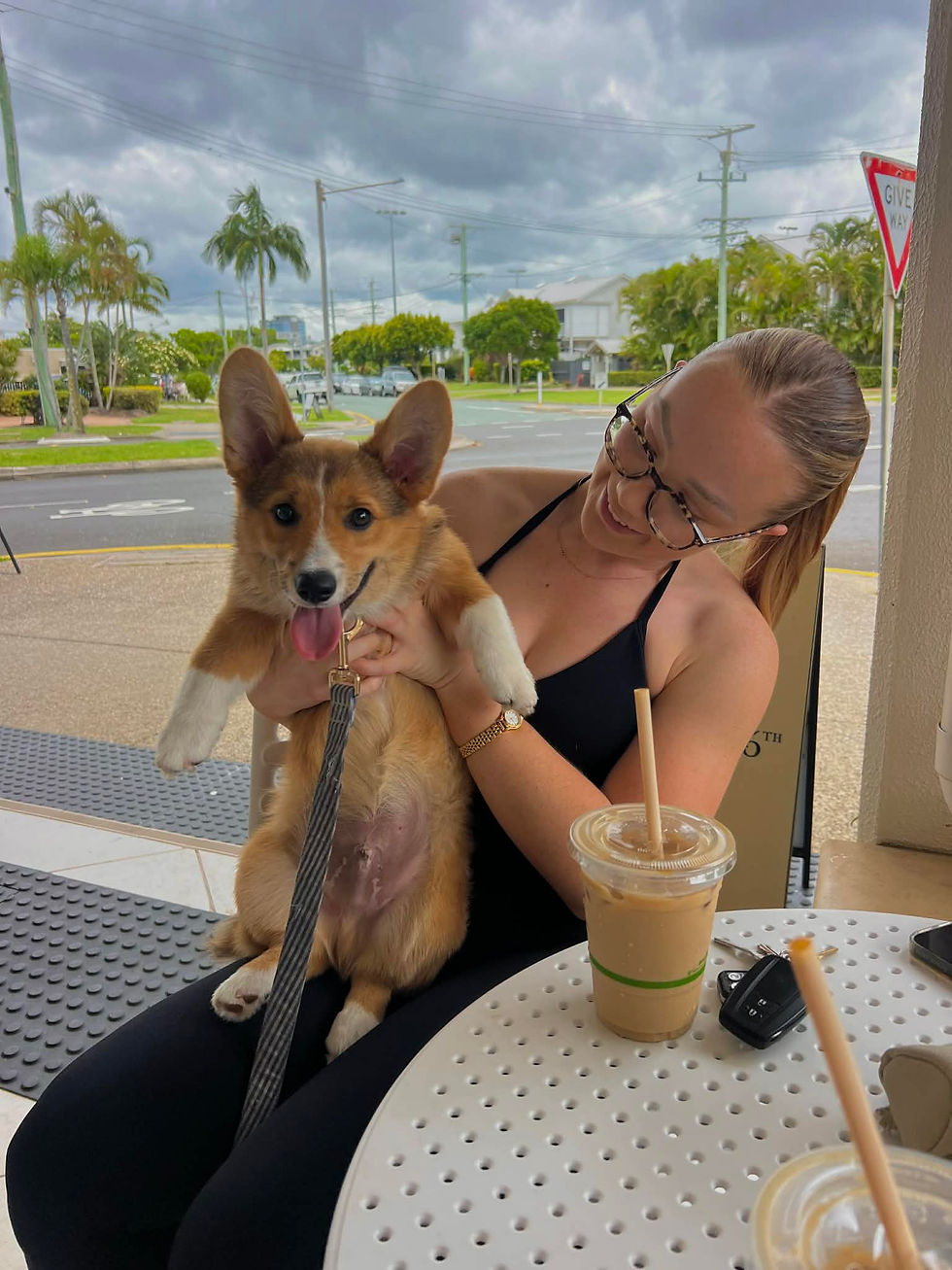 arthur_corgi