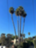 IMG_0254.jpeg
