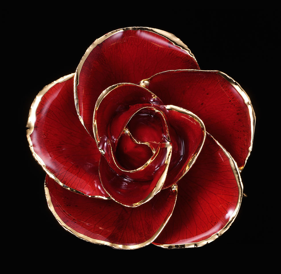 サムネイル： 1月　レッドローズ