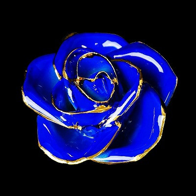 9月 ダークブルーローズ | Gold Prestige