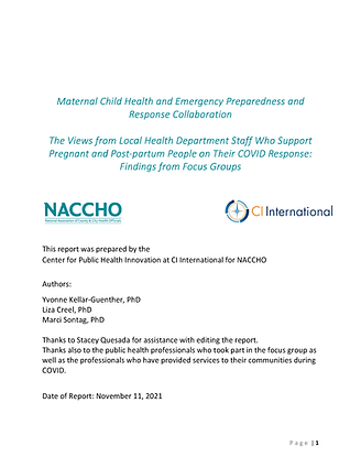 Pages from LHD-MCH-Focus-Group-Full-Report.png