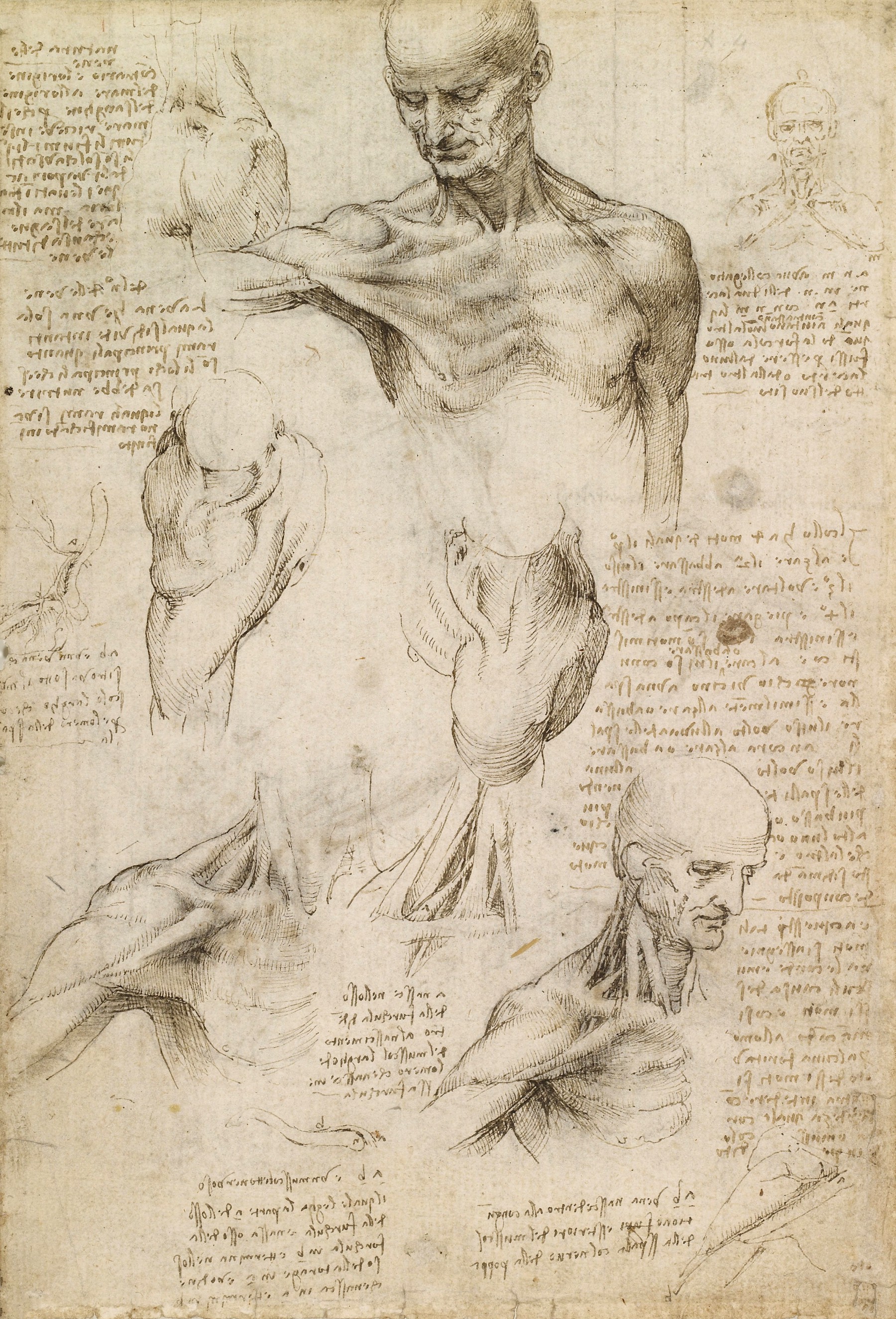 Bruce Wayne vs. Leonardo da Vinci