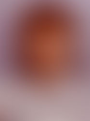 Michelle Obama: A Woman Who Wears Many Hats