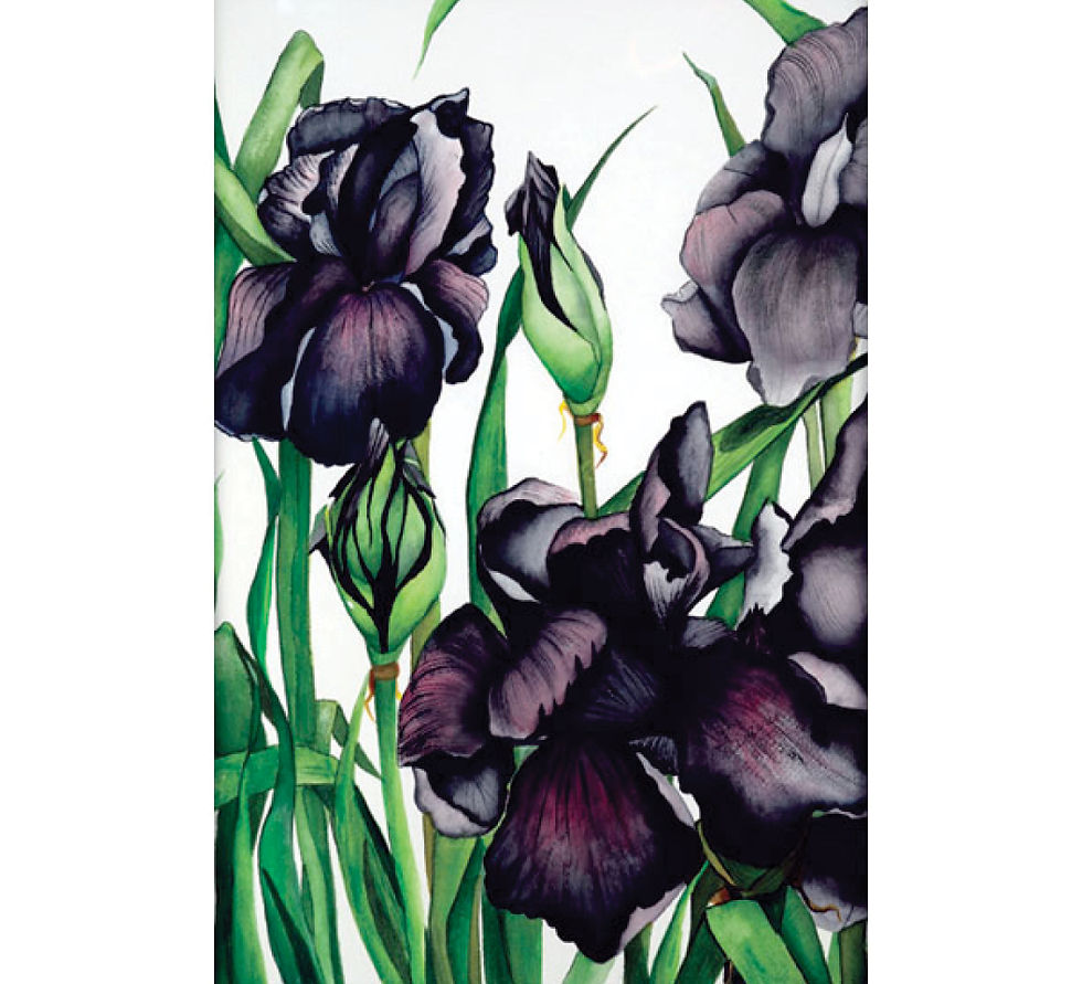 Glenda Davies - Artist