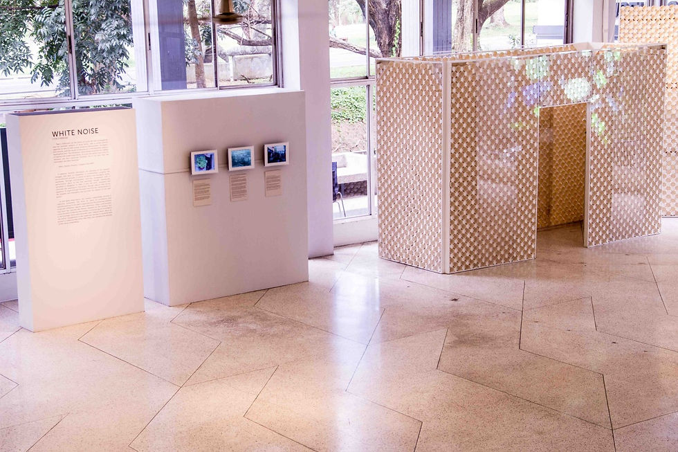 white noise installation shot