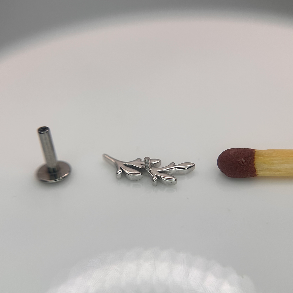 Thumbnail: BVLA Small Amity 14kt White Gold