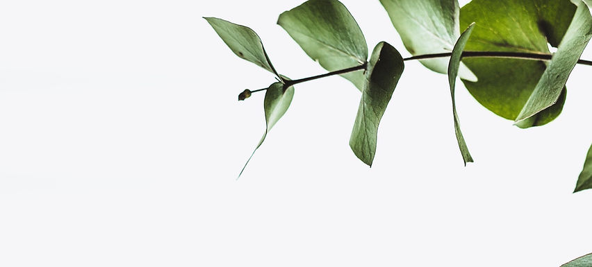 Decorative leaf