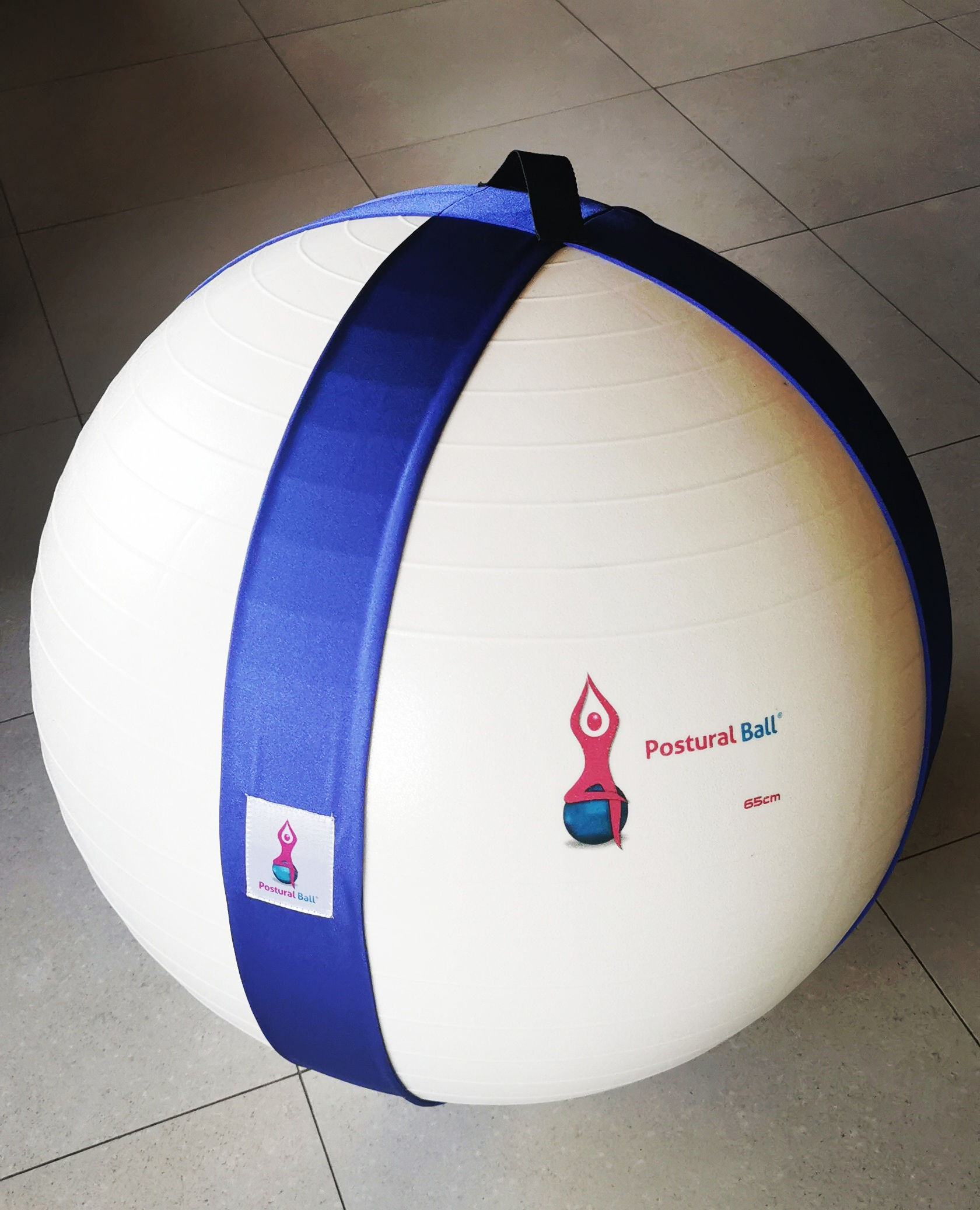 Porte ballon Postural ball® bleu marine