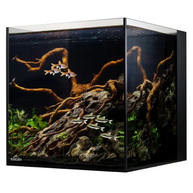 Thumbnail: IceCap 10 Gallon AIO Rimless Glass Aquarium