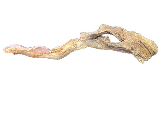 Aquarium driftwood 20x4x3