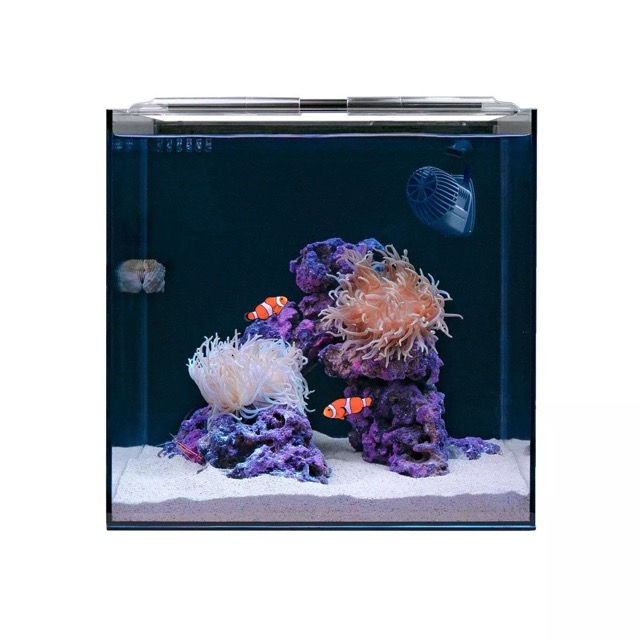 Miniature : HelloReef Clownfish & Anemone Aquarium Kit
