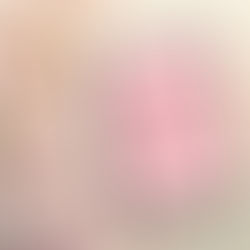 Tablet with "A Balanced Life Planning Guide" text on pink screen, beside pastel flowers on a soft gradient background.