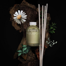 Kana, ads management, social media management, creative visual, branding, visual studio