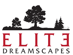 Elite Dreamscapes
