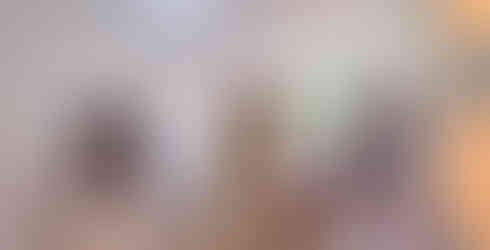 apartmentary team at home remodel project in north point