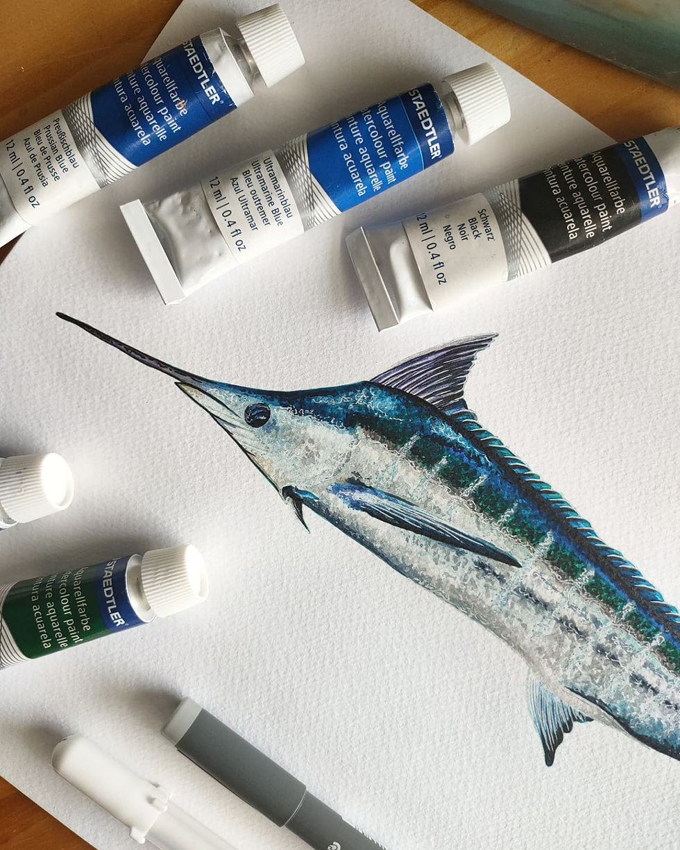 Thumbnail: Blue Marlin