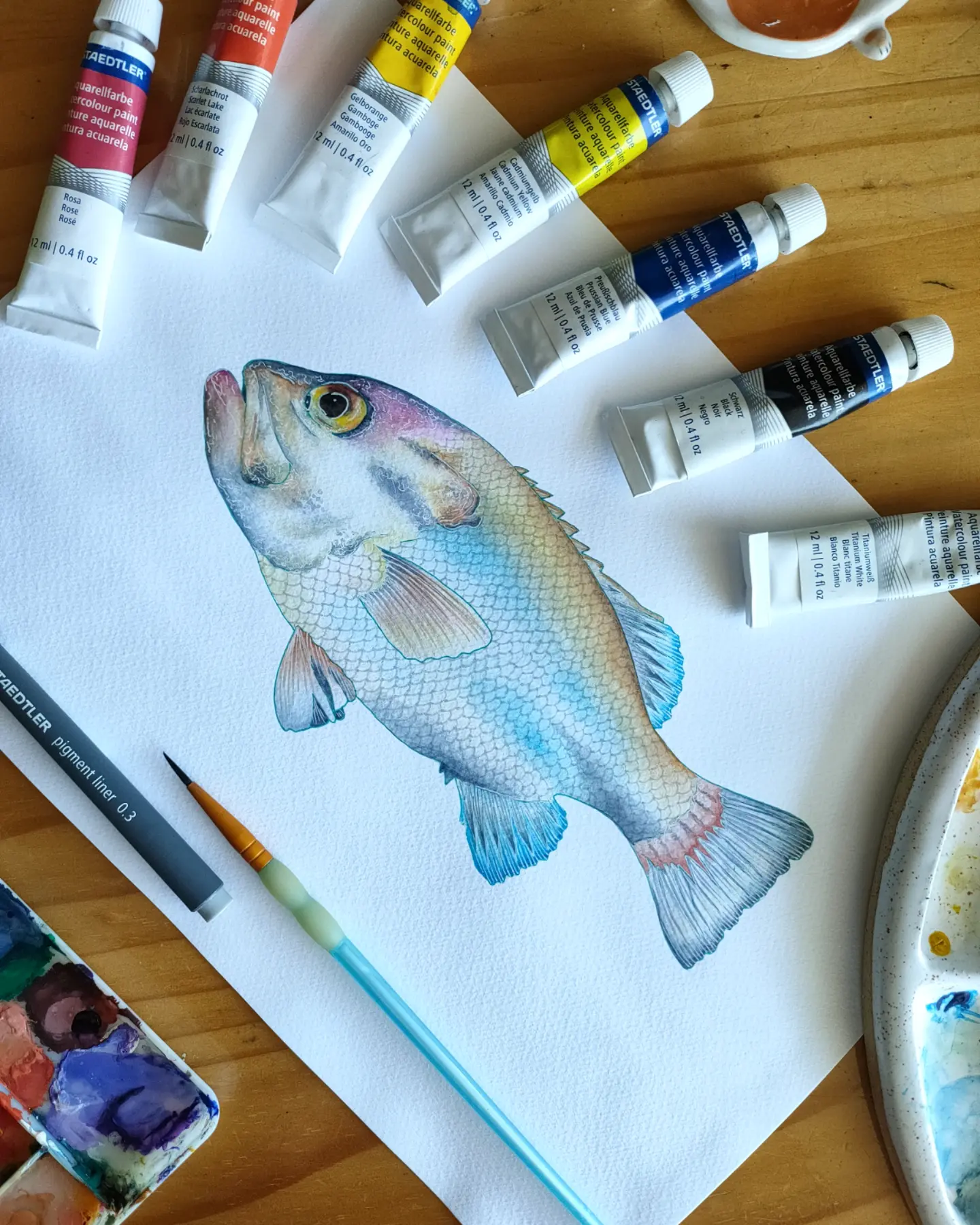 Pearl Perch