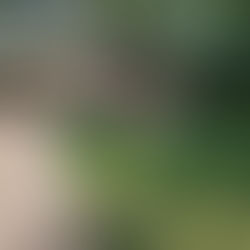 From Ugly House Chaos to Cozy: Our Latest Flip of a Hoarder House