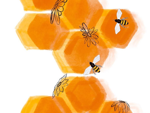 Fighting Hive Pests