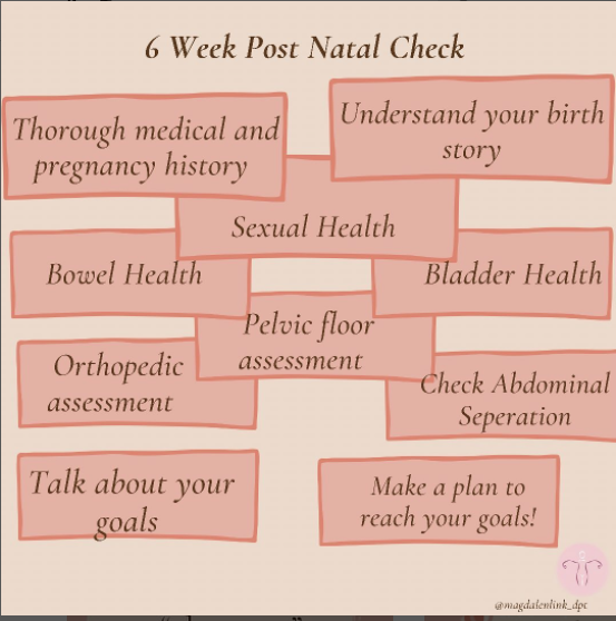 Postpartum 6 week check