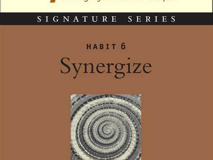 Habit 6 : Synergise