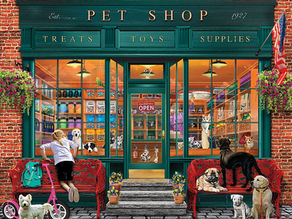 A Pet Shop in Eymet? - Demographical Analysis