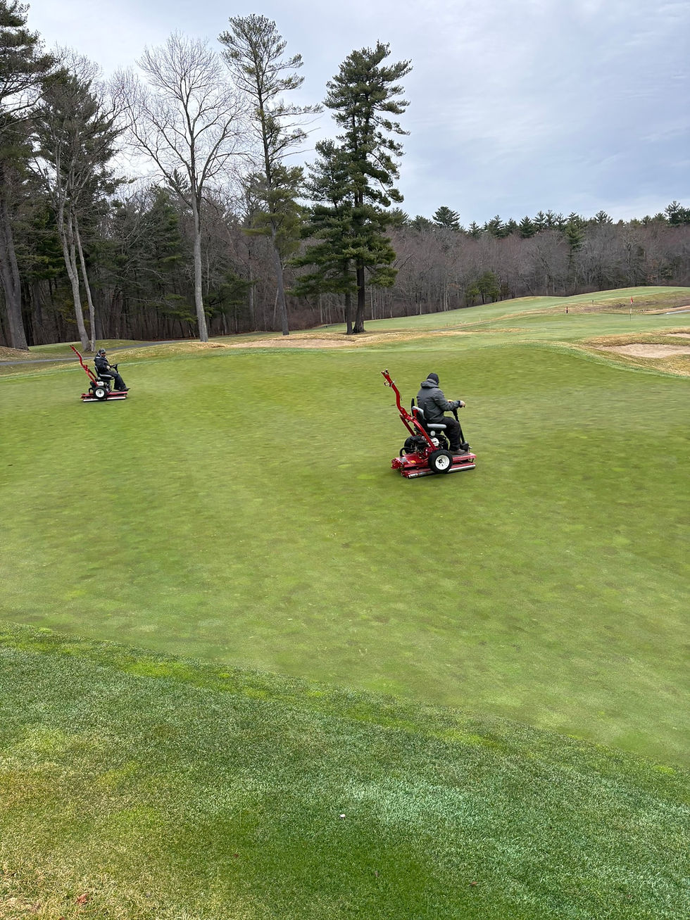 Spring Cleanup Update